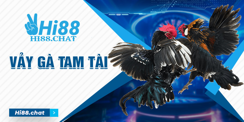 Vảy gà tam tài hi88